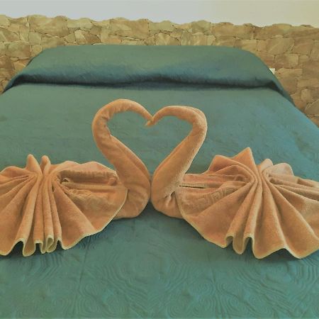 Apartament Beautiful Coastline Bungalow Near The Ocean 50 M Costa De Antigua Zewnętrze zdjęcie