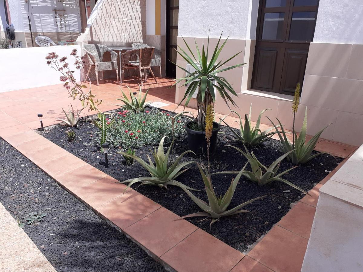 Apartament Beautiful Coastline Bungalow Near The Ocean 50 M Costa De Antigua Zewnętrze zdjęcie